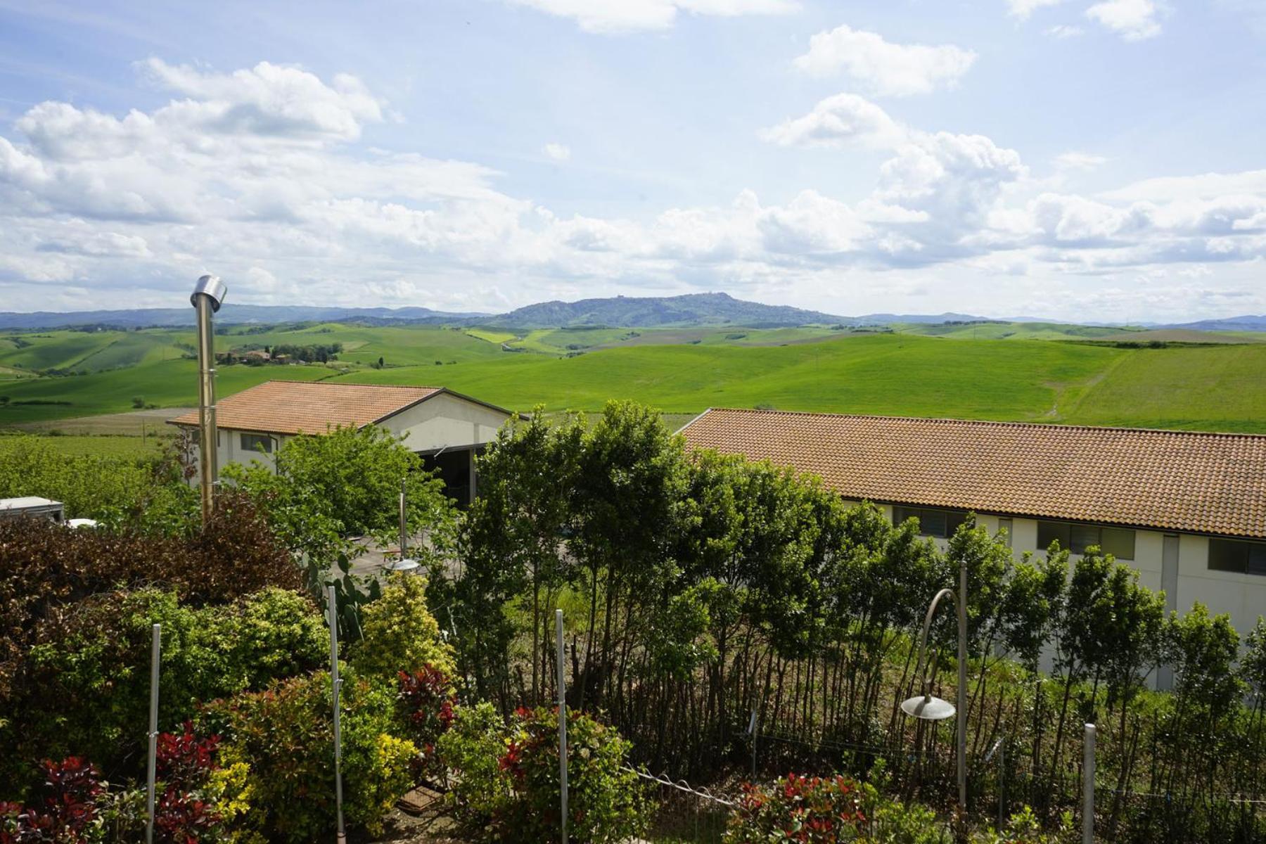 Agriturismo Signorini Orciatico Экстерьер фото