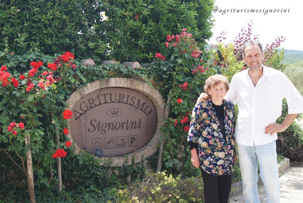 Agriturismo Signorini Orciatico Экстерьер фото