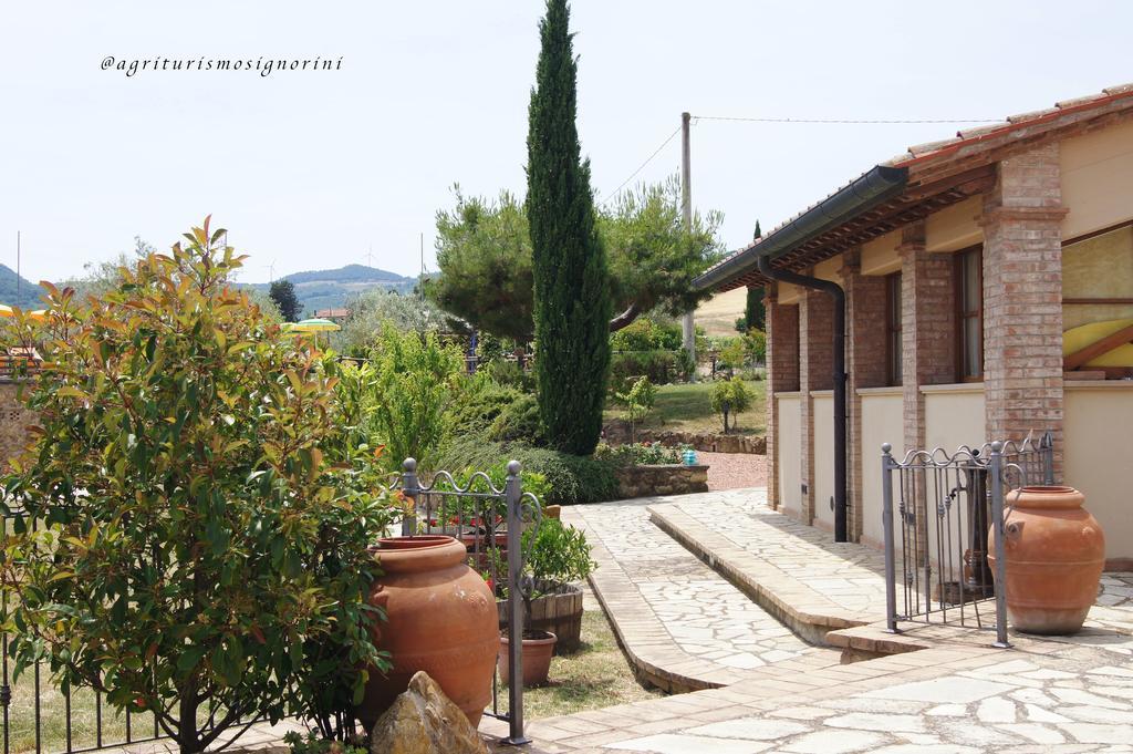 Agriturismo Signorini Orciatico Экстерьер фото