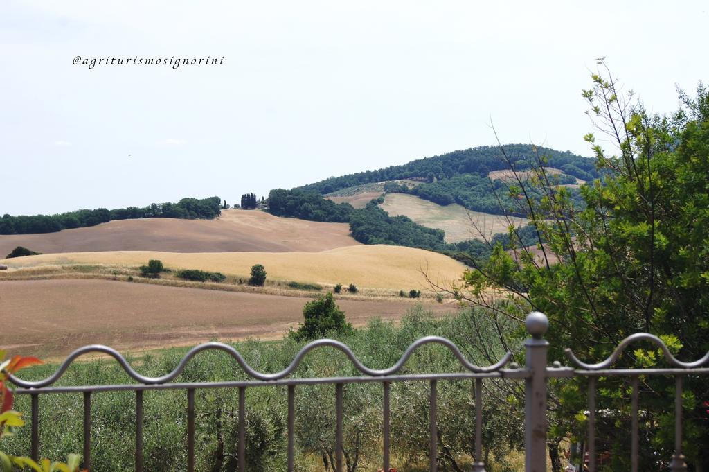 Agriturismo Signorini Orciatico Экстерьер фото