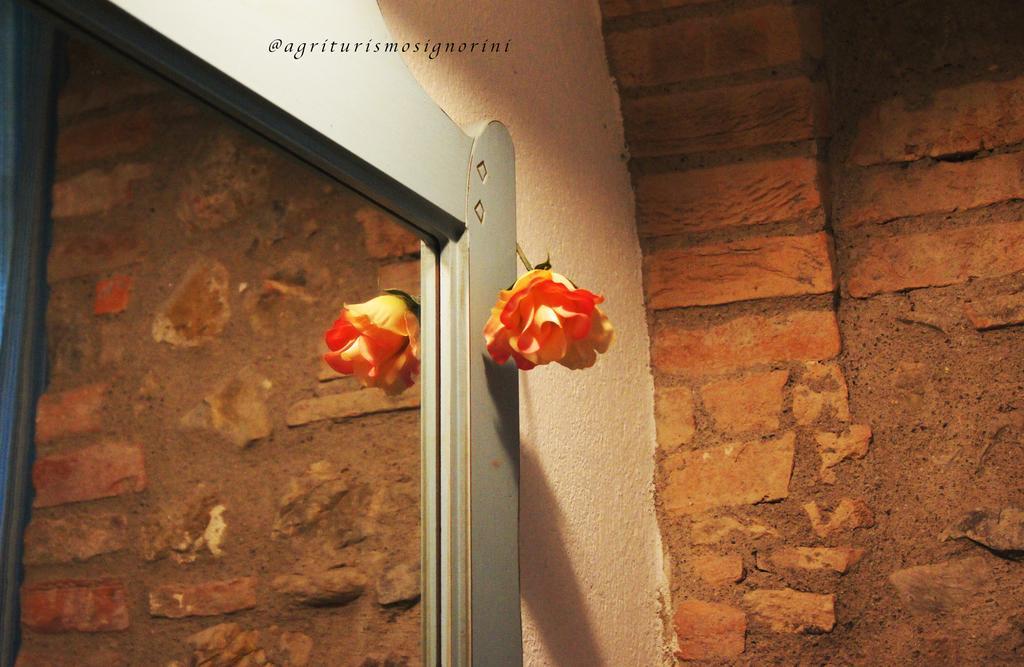 Agriturismo Signorini Orciatico Экстерьер фото