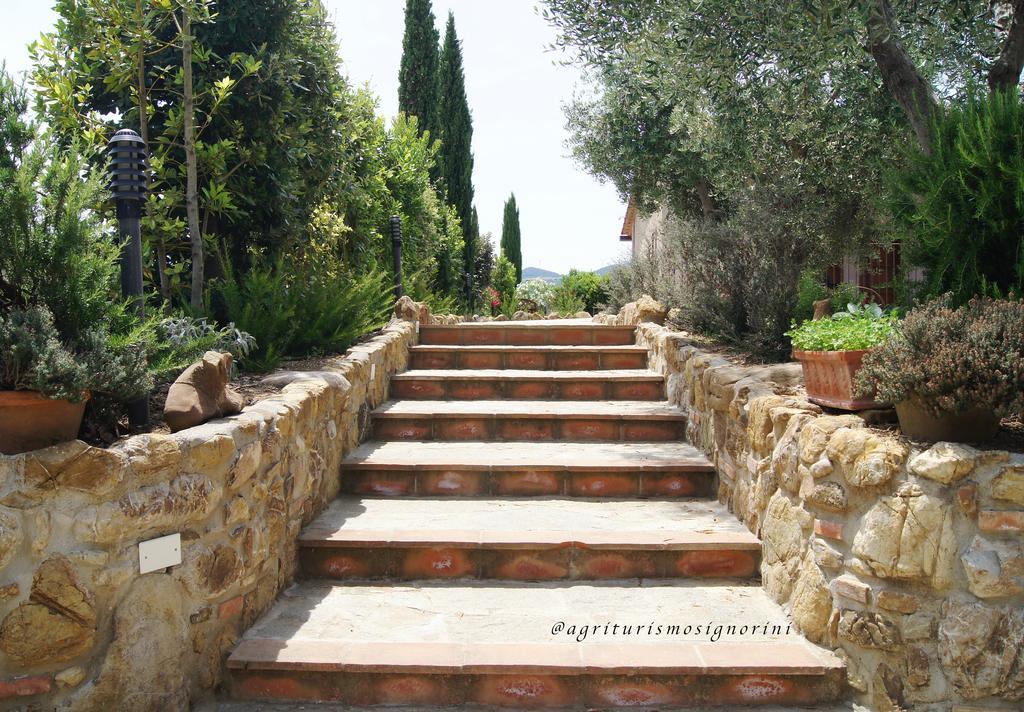 Agriturismo Signorini Orciatico Экстерьер фото