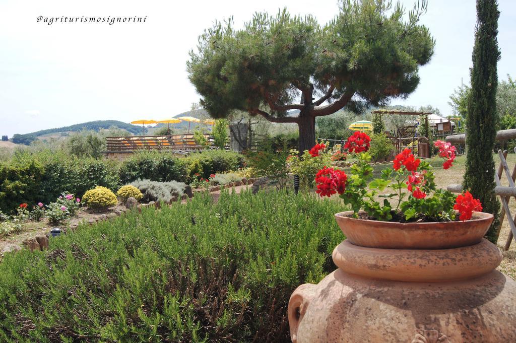 Agriturismo Signorini Orciatico Экстерьер фото