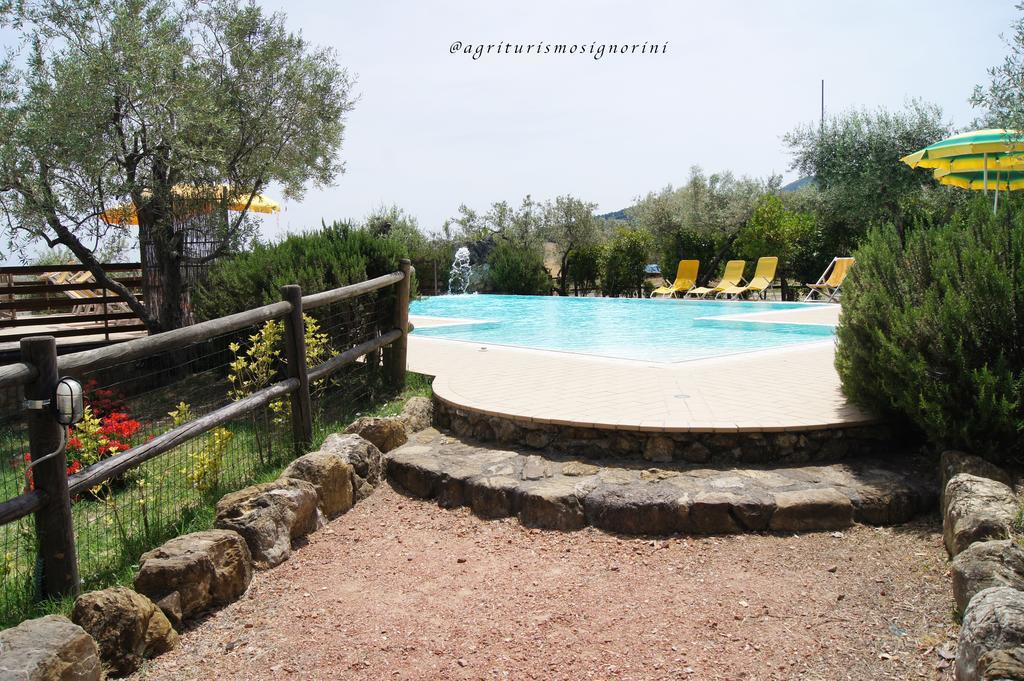 Agriturismo Signorini Orciatico Экстерьер фото
