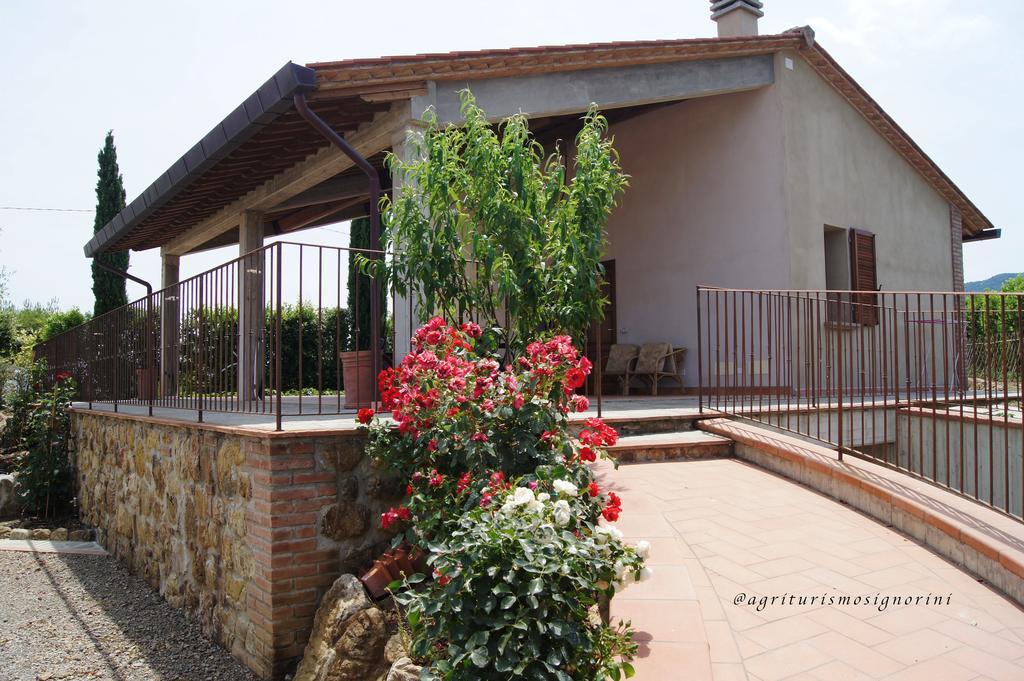 Agriturismo Signorini Orciatico Экстерьер фото