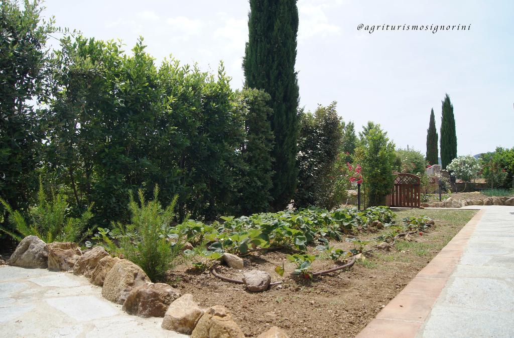 Agriturismo Signorini Orciatico Экстерьер фото