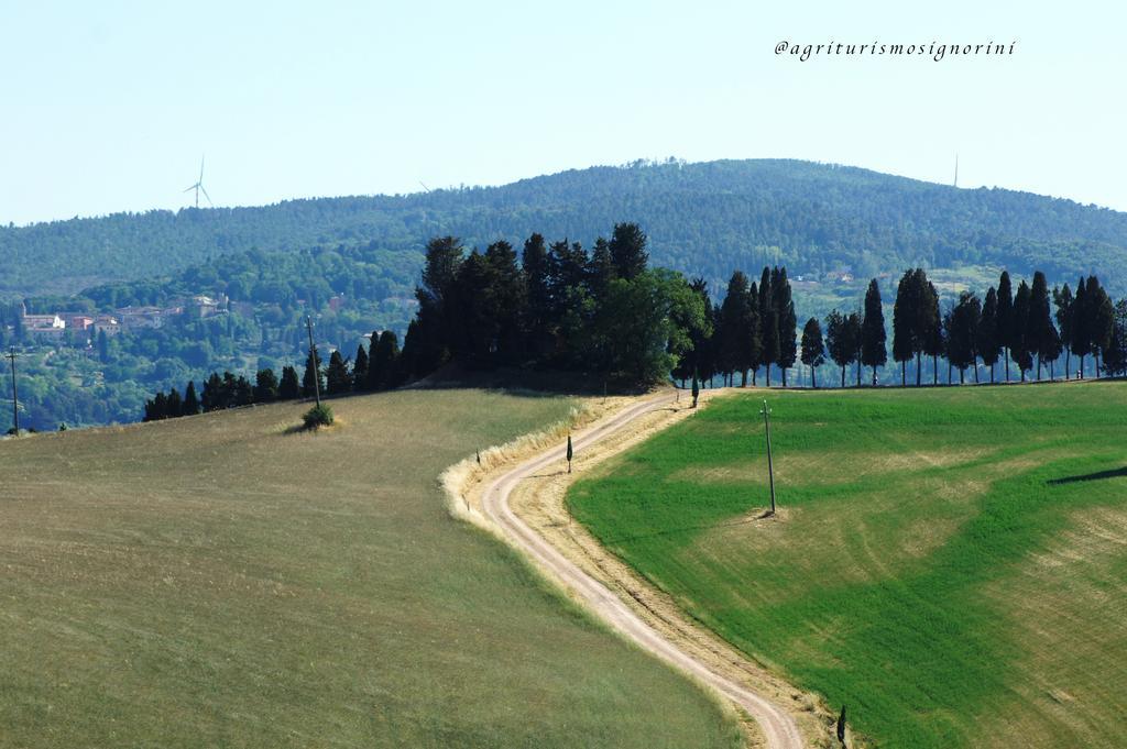 Agriturismo Signorini Orciatico Экстерьер фото