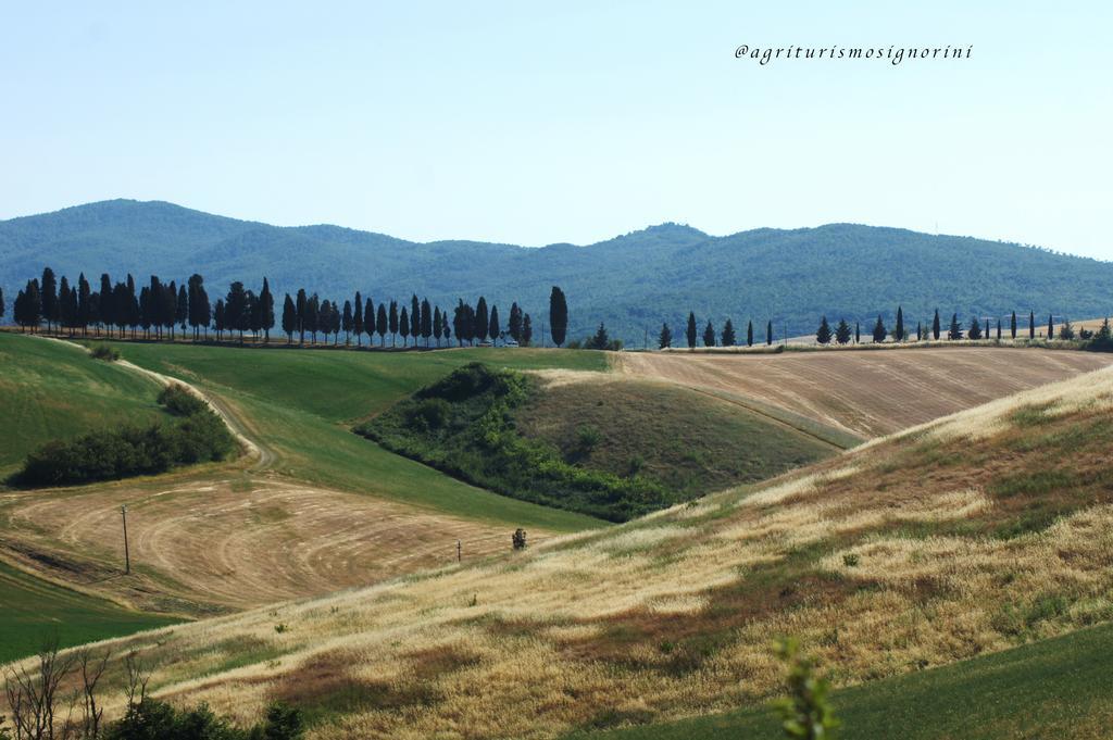 Agriturismo Signorini Orciatico Экстерьер фото