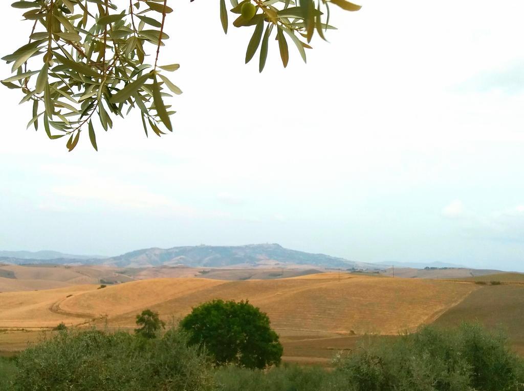 Agriturismo Signorini Orciatico Экстерьер фото